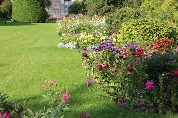 Güneşli bir eylül gününde parka yakın sonbahar çiçek yatakları (asters, dahlias, bahçe papatyaları)