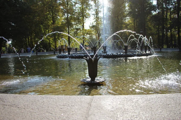 Gros Plan Fragment Fontaine Éclaboussures Gouttes Eau Sur Fond Arbres — Photo