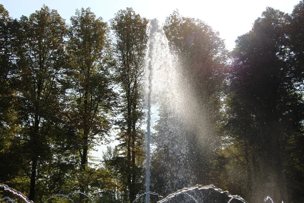 Zbliżenie Strumienia Fontanny Powalonej Wiatrem Plamy Krople Wody Tle Drzew — Zdjęcie stockowe