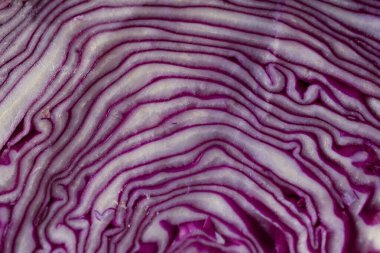 Yakın plan (makro çekim) beyaz çizgileri olan kırmızı lahana kesimi