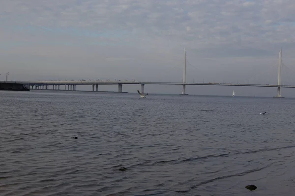 Blick Vom Ufer Der Seilbrücke Und Der Autobahn Frühen Oktobermorgen — Stockfoto