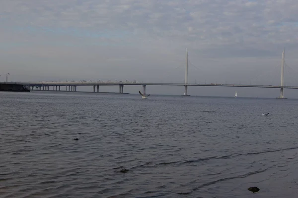 Utsikt Från Stranden Kabelbron Och Autobahn Början Oktober Morgon Sågarna — Stockfoto