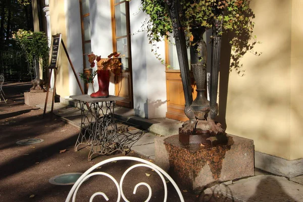 Осенний Натюрморт Резиновыми Сапогами Кленовой Веткой Входа Кафе Парке — стоковое фото