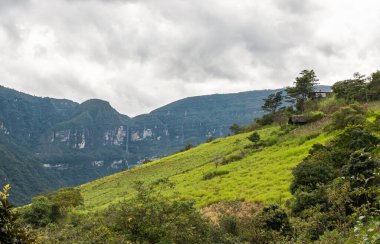 Kuzey Peru 'nun Chachapoyas bölgesinde Gocta şelalesi