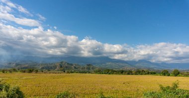 Peru 'nun güneyindeki Amazon bölgesinde pirinç tarlaları olan And Dağları.