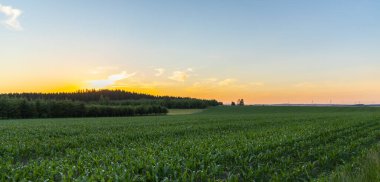 Yaz zamanı kırsal alan, tarım alanları güzel bir günbatımı akşamı..