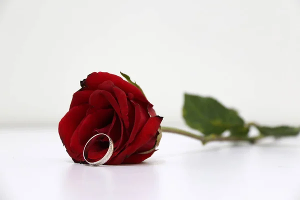 白い床に緑の葉を持つバラの1つのリングと赤の色 愛やバレンタインの概念 — ストック写真