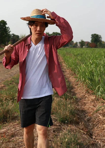 Man Farmer Hoe Hand Walking Sugarcane Farm Wearing Straw Hat — Stock Photo, Image