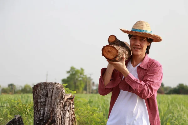 Man Farmer Standing Shoulder Firewood Sugarcane Farm Wearing Straw Hat — Stock Photo, Image