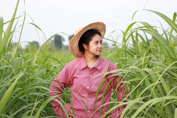 Woman Farmer Standing Akimbo Sugarcane Farm Wearing Straw Hat Red — Stock Photo, Image