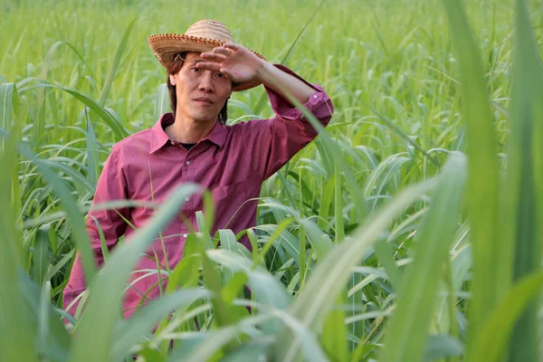 Uomo Contadino Piedi Utilizzare Mano Pulire Sudore Sulla Fronte Indossa — Foto Stock