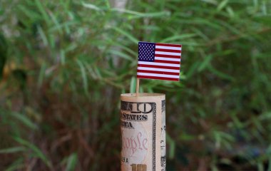 Banknot parası on Amerikan doları ve yeşil doğada küçük Amerika bayrağına yapış. Para büyümesi veya para birimi faizi kavramı.