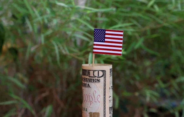 Billets Roulés Argent Dix Dollars Américains Bâton Avec Mini Drapeau Images De Stock Libres De Droits