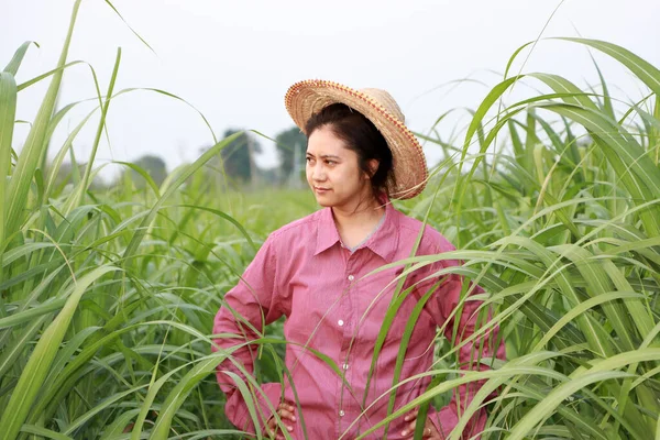 Femme Agricultrice Debout Akimbo Dans Ferme Canne Sucre Portant Chapeau — Photo