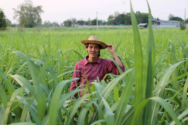 Man Farmer Standing Hand His Hat Wearing Red Long Sleeved — Stock Photo, Image