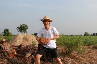 Çiftçi adam ayakta duruyor ve şeker kamışı çiftliğindeki odun yığınının yanında kereste taşıyor ve beyaz tişörtlü hasır bir şapka giyiyor..