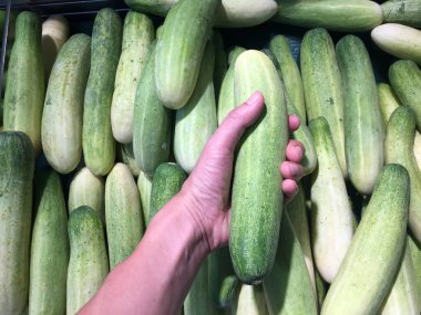 El salatalığı ve arka plan salatalık yığını. Uzun, yeşil derili, sulu etli, genellikle salatada çiğ yenmiş veya turşulu bir meyvedir..