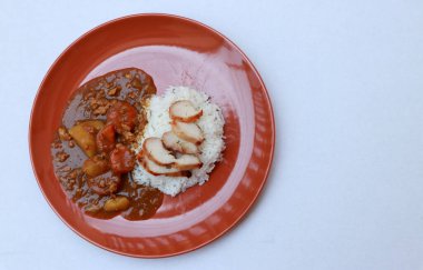 Üst manzara, sarı köri tavuğu, pişmiş pilav, turuncu yuvarlak renkte, beyaz zemin üzerinde..