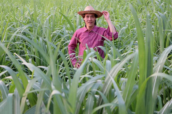 Man Farmer Standing Hand His Hat Wearing Red Long Sleeved — Stock Photo, Image