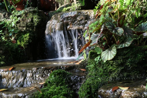 緑の苔と地衣類と岩の上の滝の動きの水 濡れているのは自然です — ストック写真