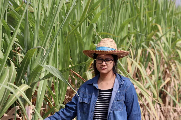 Mujer Agricultora Pie Granja Caña Azúcar Con Sombrero Paja Con —  Fotos de Stock