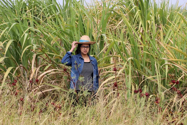 Mujer Agricultora Pie Con Mano Sombrero Vistiendo Camisa Mezclilla Manga —  Fotos de Stock