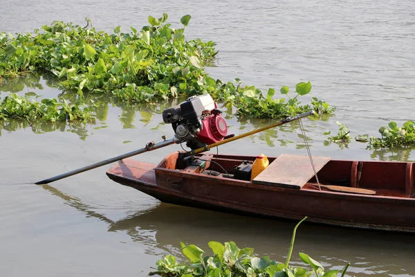水のヒヤシンスに囲まれた川に停められた長い尾の木製ボート — ストック写真
