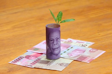 On bin Endonezya Rupiah bankasından yuvarlanan para. Yeşil doğa arka planında büyüyen genç bir bitki. Para büyümesi veya para birimi faizi kavramı.