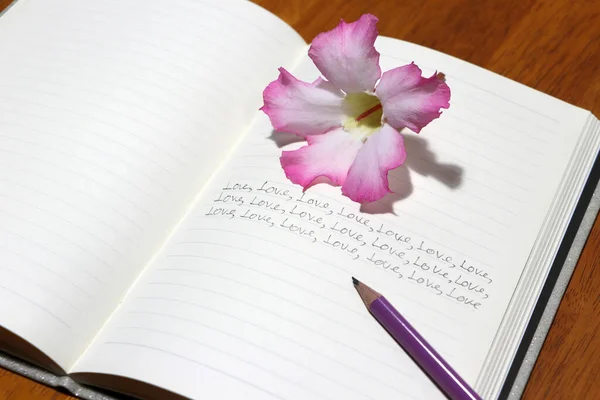 Psaní Mnoha Milostných Slov Knihu Tužkou Růžovým Květem Lásce Koncept — Stock fotografie