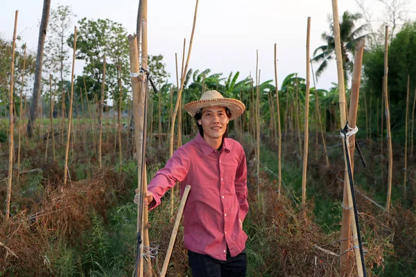 Man Farmer Standing Front Vegetable Plot Wearing Straw Hat Red — Stock Photo, Image