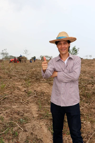 Erkek çiftçi Cassava çiftliğinde dikiliyor. Odak traktörü ve işçisi yok..