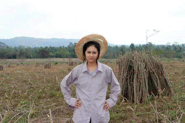 Agricultrice Debout Avec Akimbo Membre Plante Tapioca Qui Coupé Pile — Photo