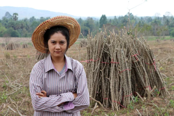 Agricultrice Debout Serrant Poitrine Côté Pile Membres Tapioca Dans Ferme — Photo