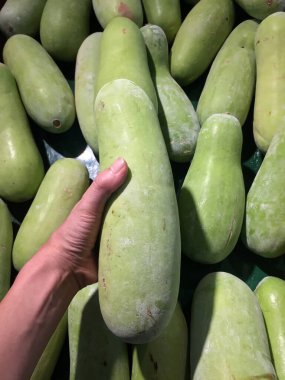 Elinde ve arka planında yeşil ilik yığını var. Bir sebze olarak yenen, beyaz etli, yeşil derili bir su kabağı..