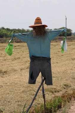 Korkuluk ya da Strawman sahaya çıkıyor, genellikle insan figürüne benzetiliyor, kuşları korkutmak için kurulmuş..