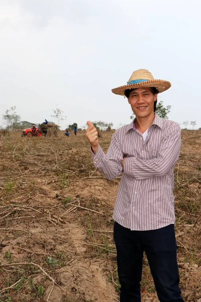 Male farmer standing and thumbs up in the cassava farm with out focus tractor and worker.