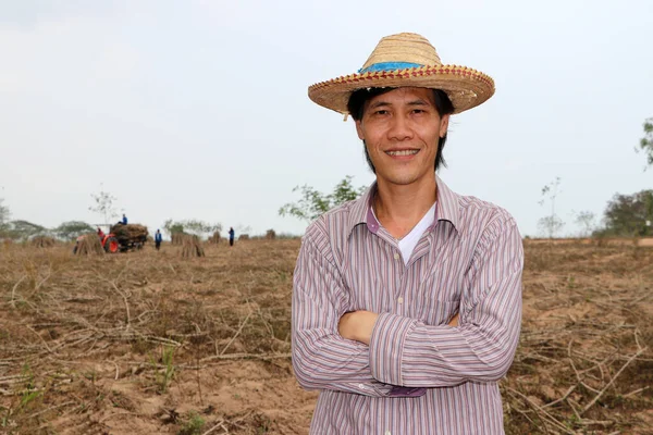 Erkek çiftçi kasava çiftliğinde dikilip sarılıyor. Odak traktörü ve işçi olmadan..