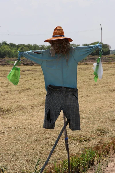 Korkuluk ya da Strawman sahaya çıkıyor, genellikle insan figürüne benzetiliyor, kuşları korkutmak için kurulmuş..