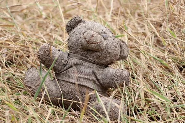 Old dirty teddy bear neglected on the dry grass ground. End of childhood.