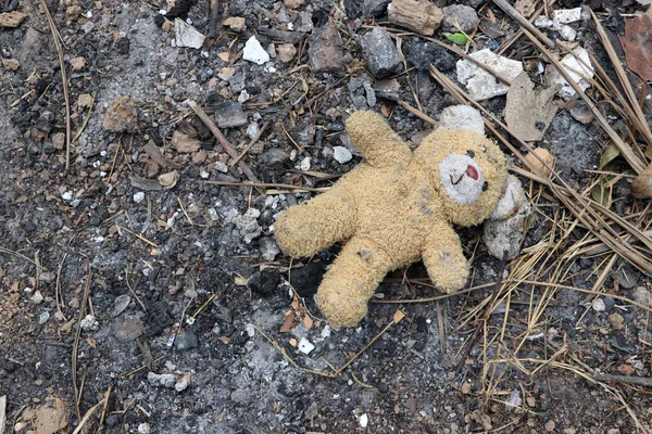 Terk edilmiş bir evin kirli zemininde klasik bir oyuncak ayı. Eski oyuncak yere bırakılmış. Toz içinde oyuncak ayı