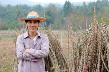 Erkek çiftçi ayakta ve kasava çiftliğinde tapyoka kolunun yanında göğsüne sarılıyor..