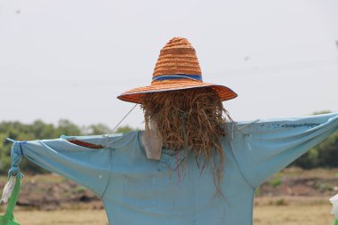 Korkuluk ya da Strawman sahaya çıkıyor, genellikle insan figürüne benzetiliyor, kuşları korkutmak için kurulmuş..