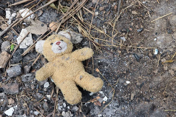 Terk edilmiş bir evin kirli zemininde klasik bir oyuncak ayı. Eski oyuncak yere bırakılmış. Toz içinde oyuncak ayı
