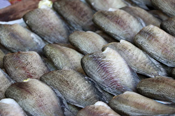 Trikogaster Pektoralis Balığının Kurutulmuş Balığı Kurutulmuş Balığın Arka Plan Dokusu — Stok fotoğraf