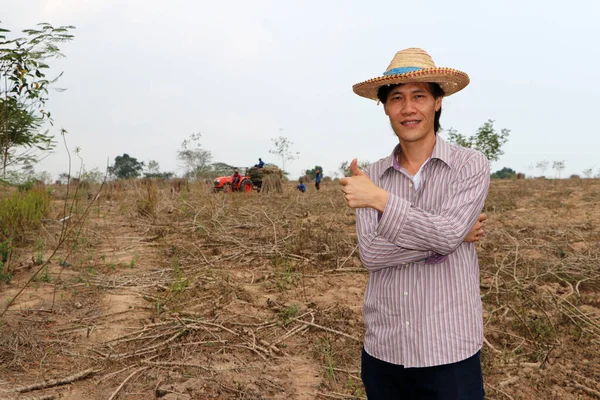 Male farmer standing and thumbs up in the cassava farm with out focus tractor and worker.