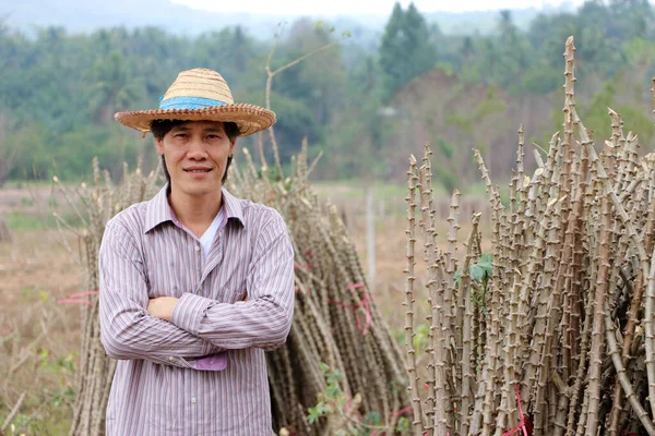 Erkek çiftçi ayakta ve kasava çiftliğinde tapyoka kolunun yanında göğsüne sarılıyor..