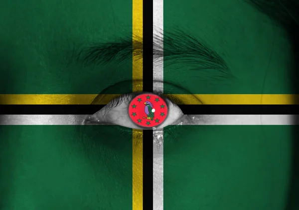 Human face painted Dominica flag with Sisserou Parrot and star on the center of eye or eyeball. Human eye painted with flag of Dominica.