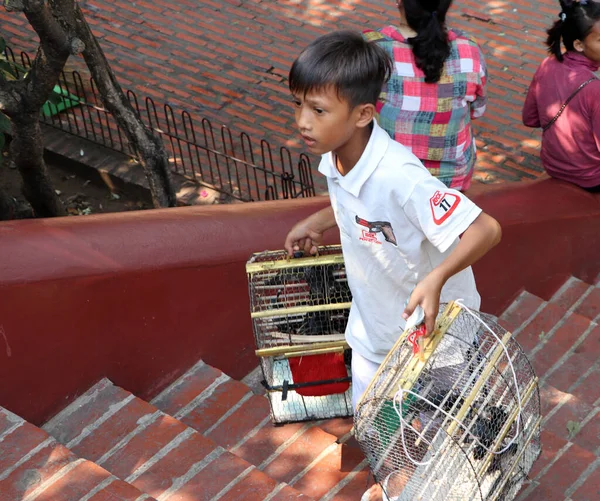Пномпень Камбоджа Февраля 2019 Года Мальчик Держит Птичью Клетку Продажи — стоковое фото