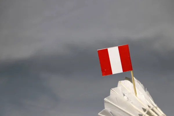 국기는 배경을 셔틀콕에 배드민턴 스포츠의 — 스톡 사진