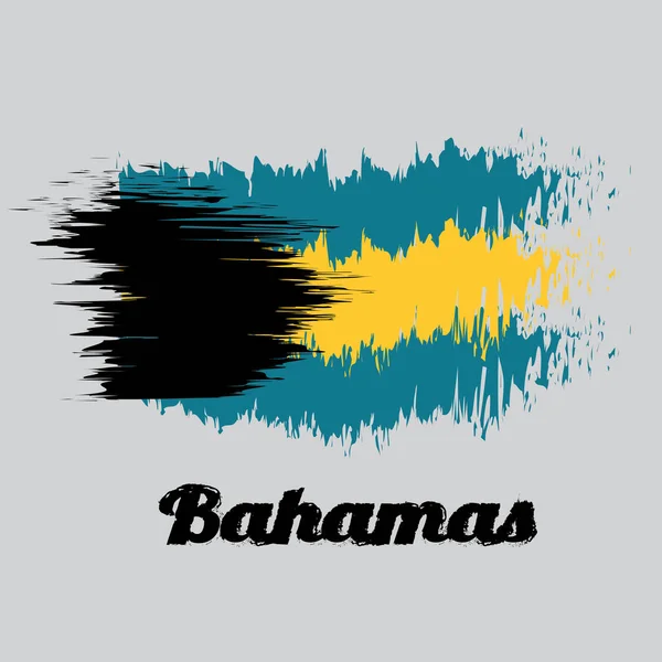 Bandeira Cor Estilo Escova Bahamas Triband Horizontal Água Marinha Superior —  Vetores de Stock